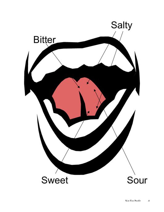 Take Care of Your Mouth and Taste Buds | ForChildren
